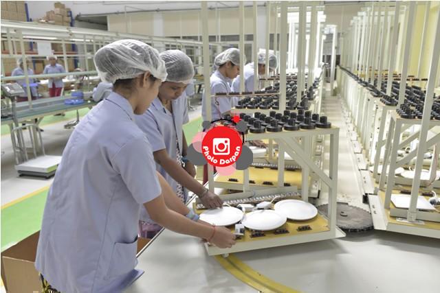 LED-plant-3